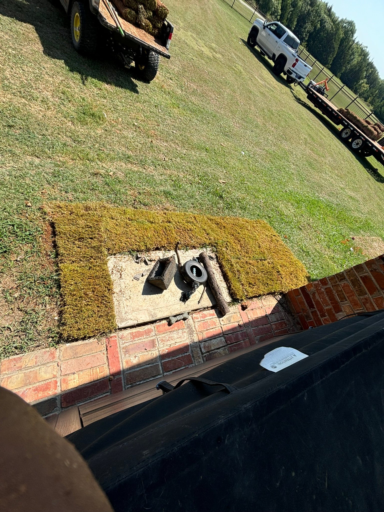 Professional landscaping 6