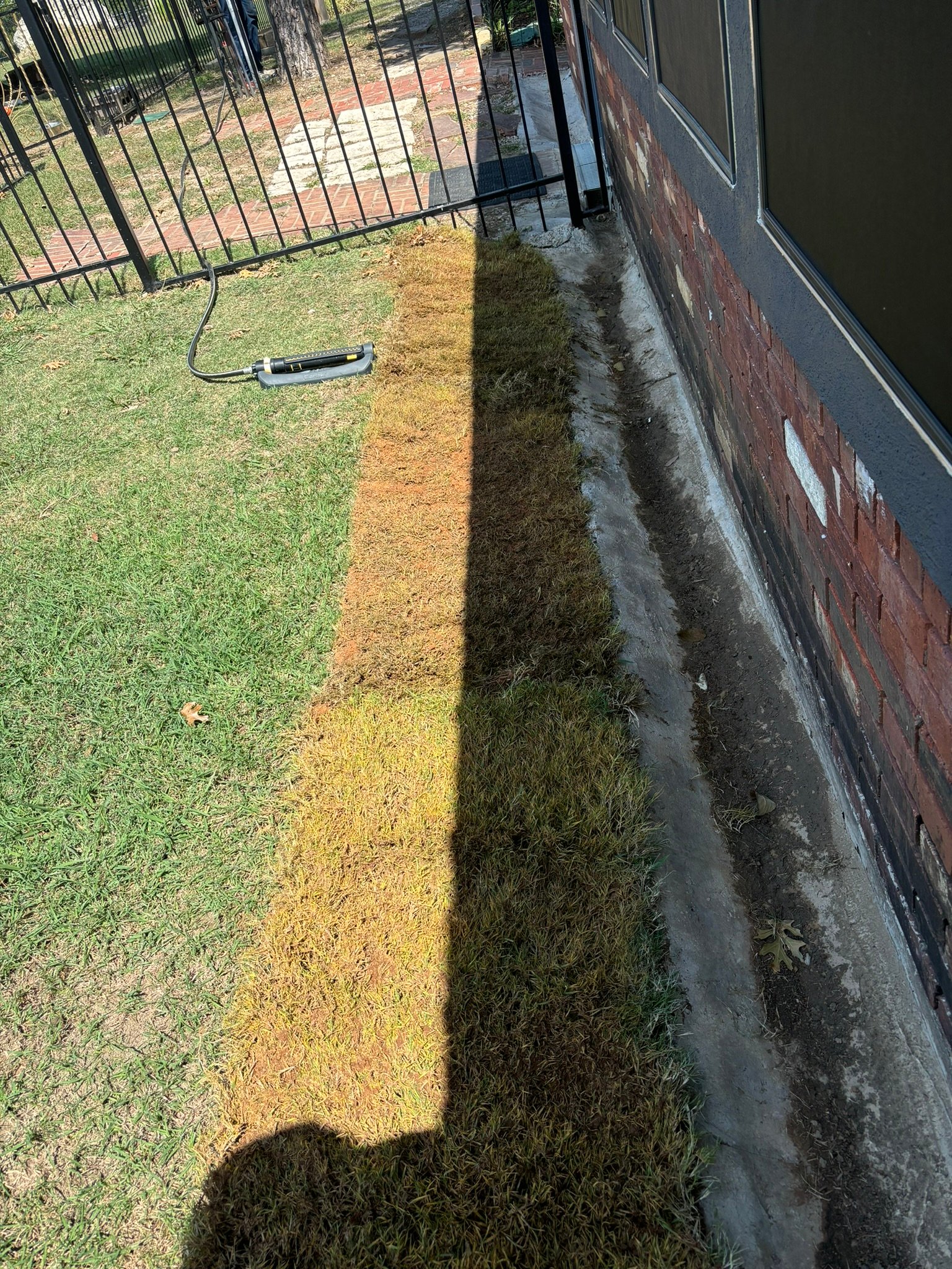 Landscape project 7